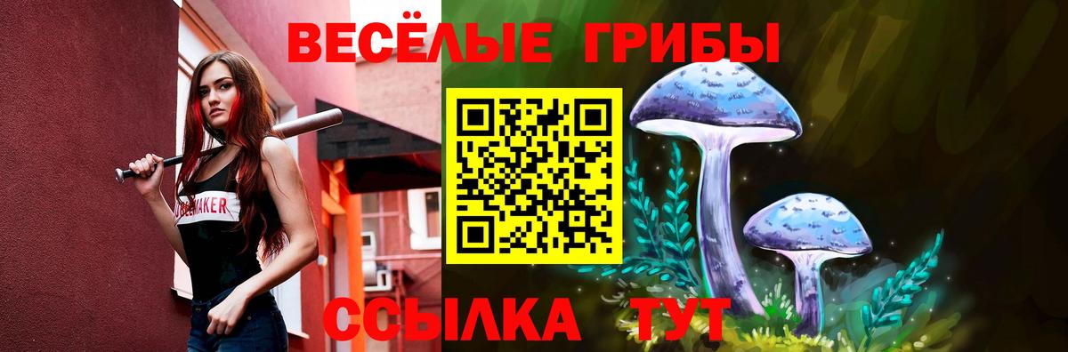 Коряжма  Галлюциногенные грибы мицелий  Вход с VPN  Галлюциногенные грибы GOLDEN TEACHER 